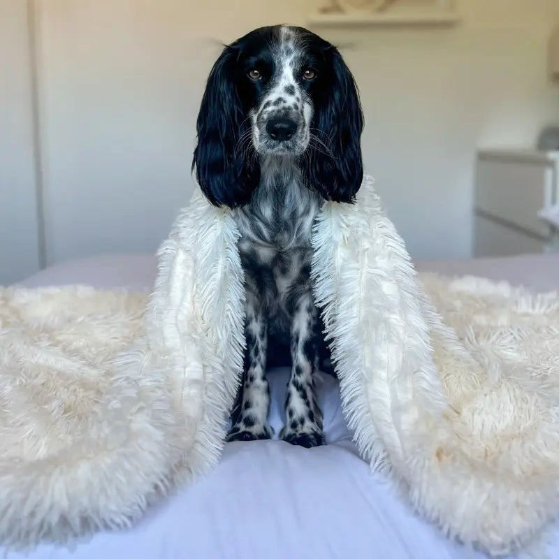 MrFluffyFriend™ - Beruhigende Flauschige Haustierdecke gegen Angst