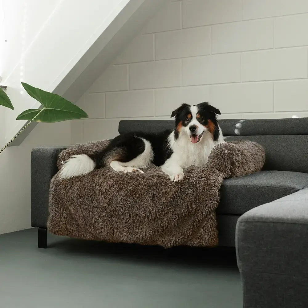 MrFluffyFriend™ - Flauschiger Sofa Bezug für Haustiere