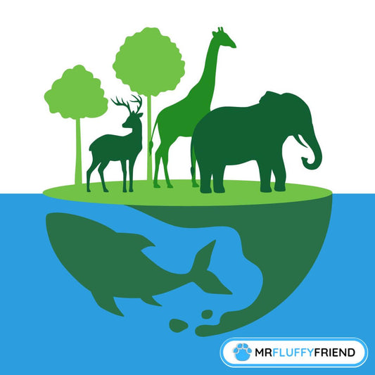 Geschichte und Bedeutung des Welttiertags