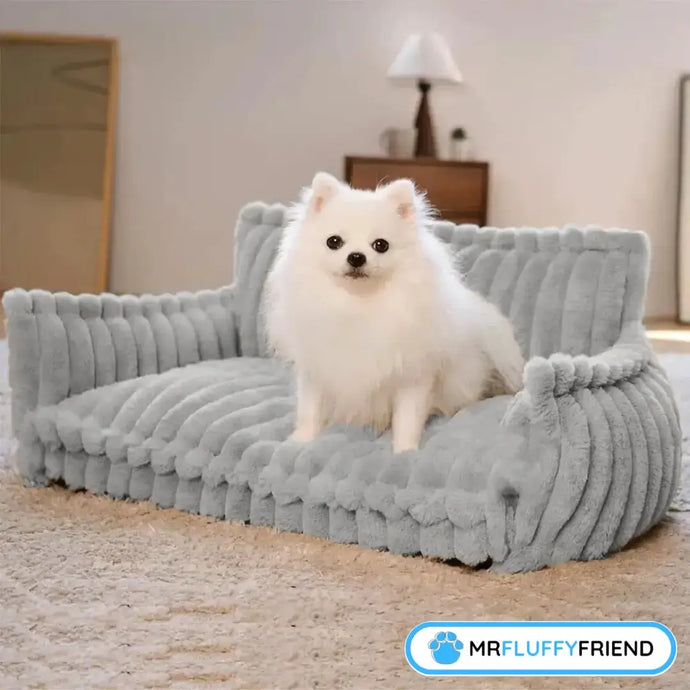 Ultimativer Hundesofa-Kaufratgeber für extra Komfort