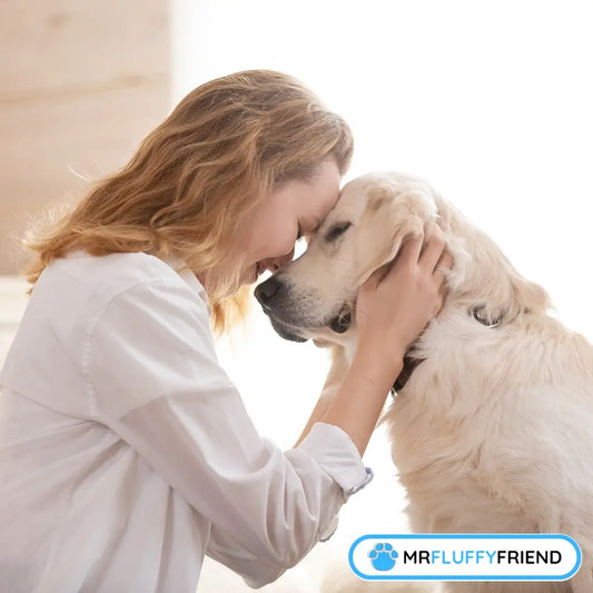 Eine Frau berührt sanft die Stirn eines Golden Retrievers, beide haben die Augen geschlossen und strahlen tiefe Verbundenheit und Ruhe aus.