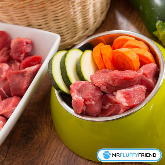 Rohes-vs-gekochtes-Hundefutter