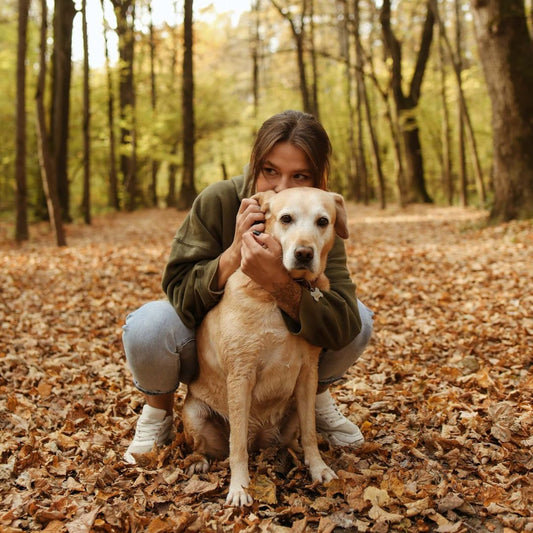 Mit Hund in den Herbst: Ein Leitfaden für Hundehalter