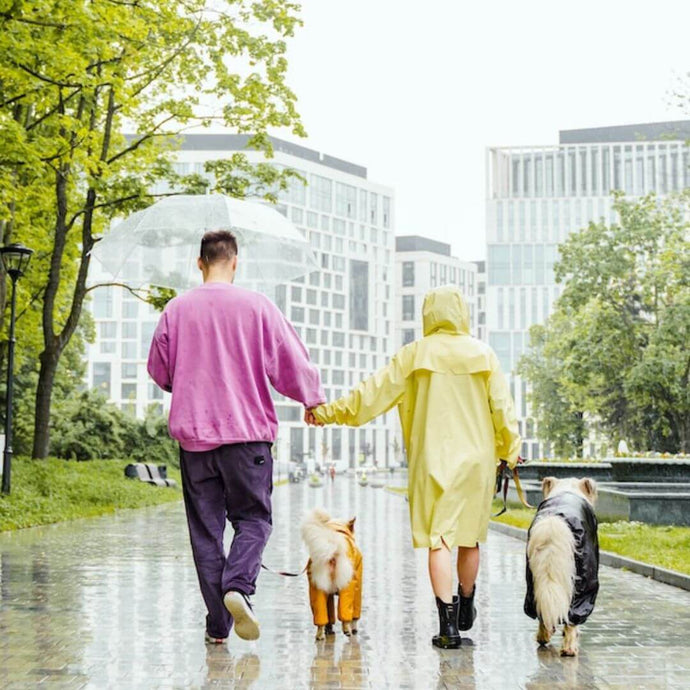 Spaziergang bei Regen: Unsere Tipps