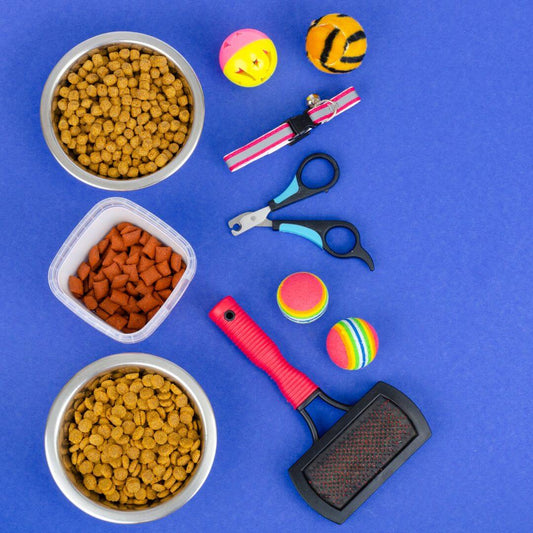 Praktische-Hundeartikel