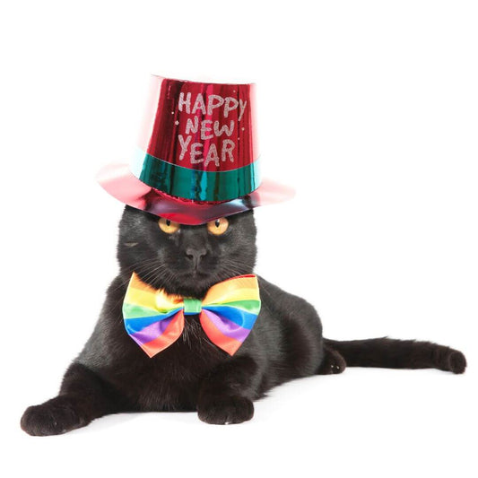 Silvester-Haustieren