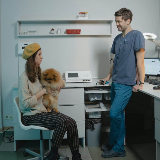 Sterilisation und Kastration: Vor- und Nachteile