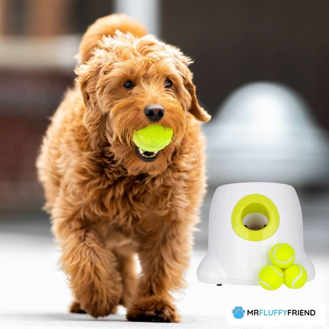 MrFluffyFriend™ - Astro Launcher für Hunde