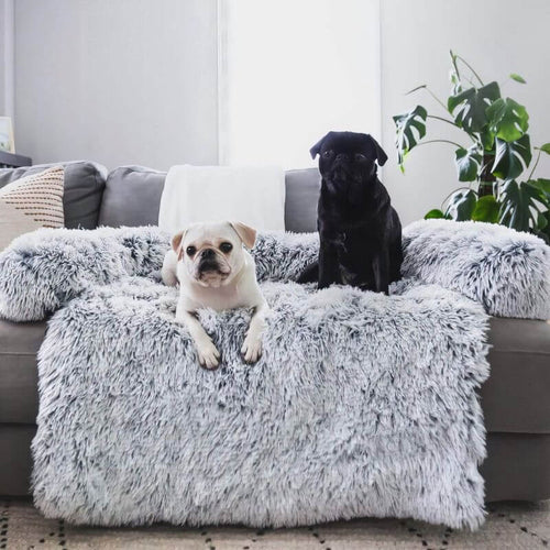 Zwei kleine Hunde entspannen auf einem Sofa mit einem flauschigen Sofabezug für Hunde und Katzen.