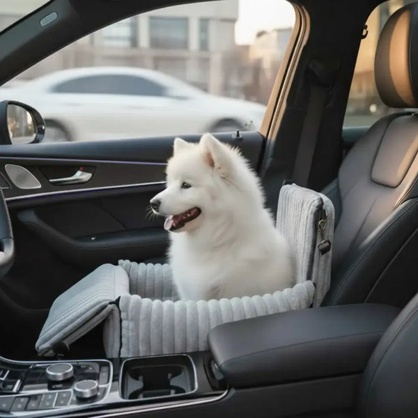 Mach jede Autofahrt sicher und gemütlich für deinen Hund