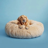 Photo of Anti-Angst Hundebett