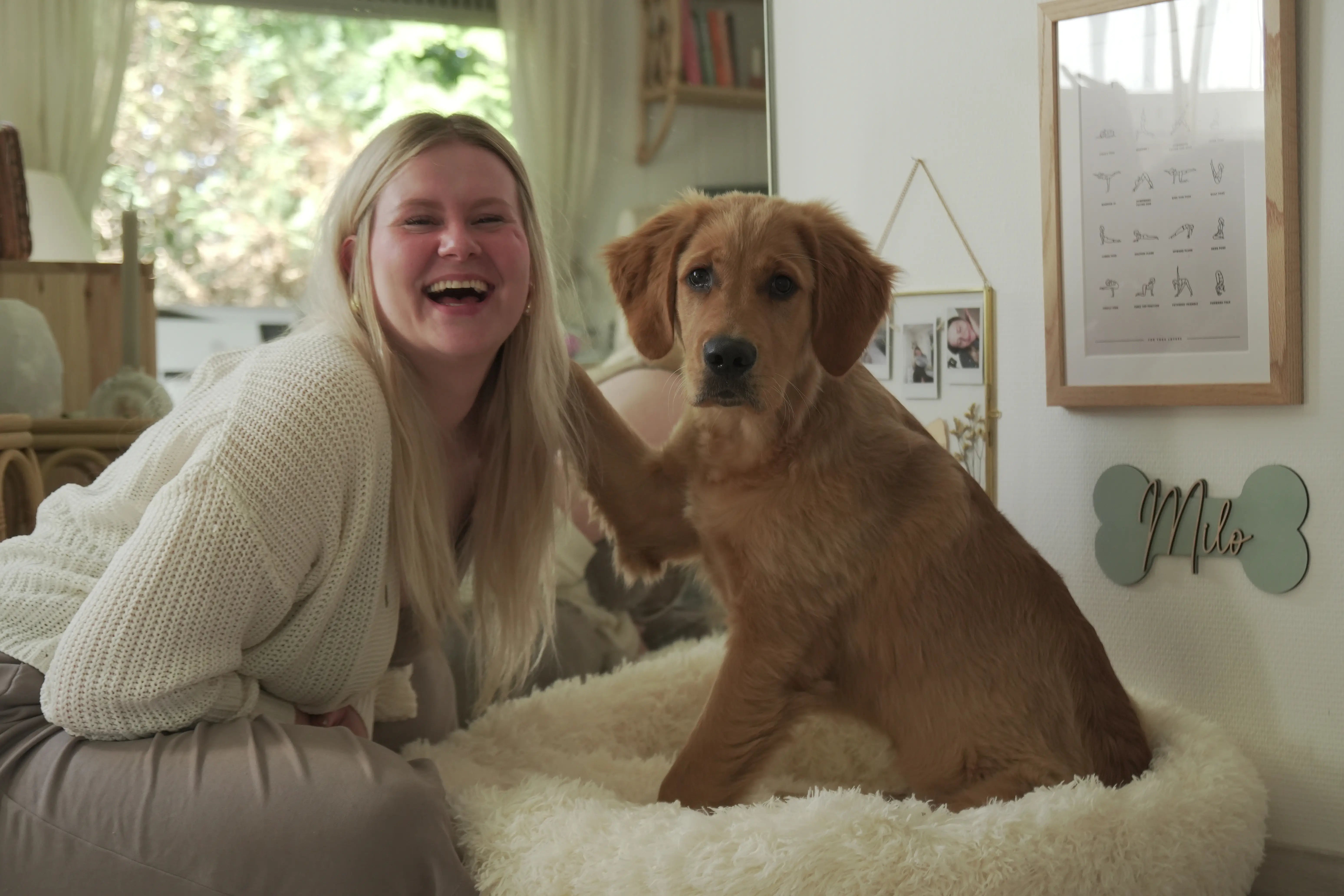 Hero Background Image