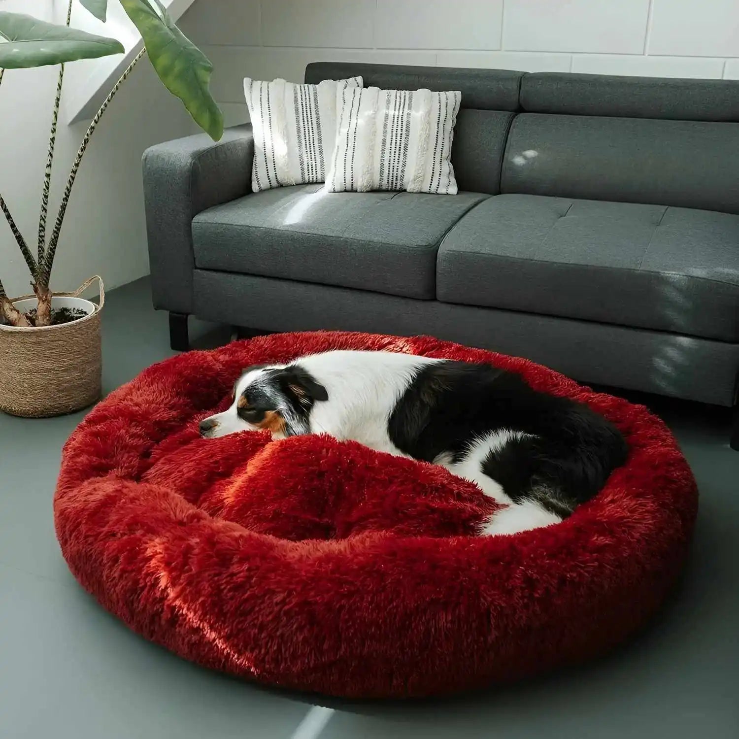 hundebett für große hunde MrFluffyFriend®