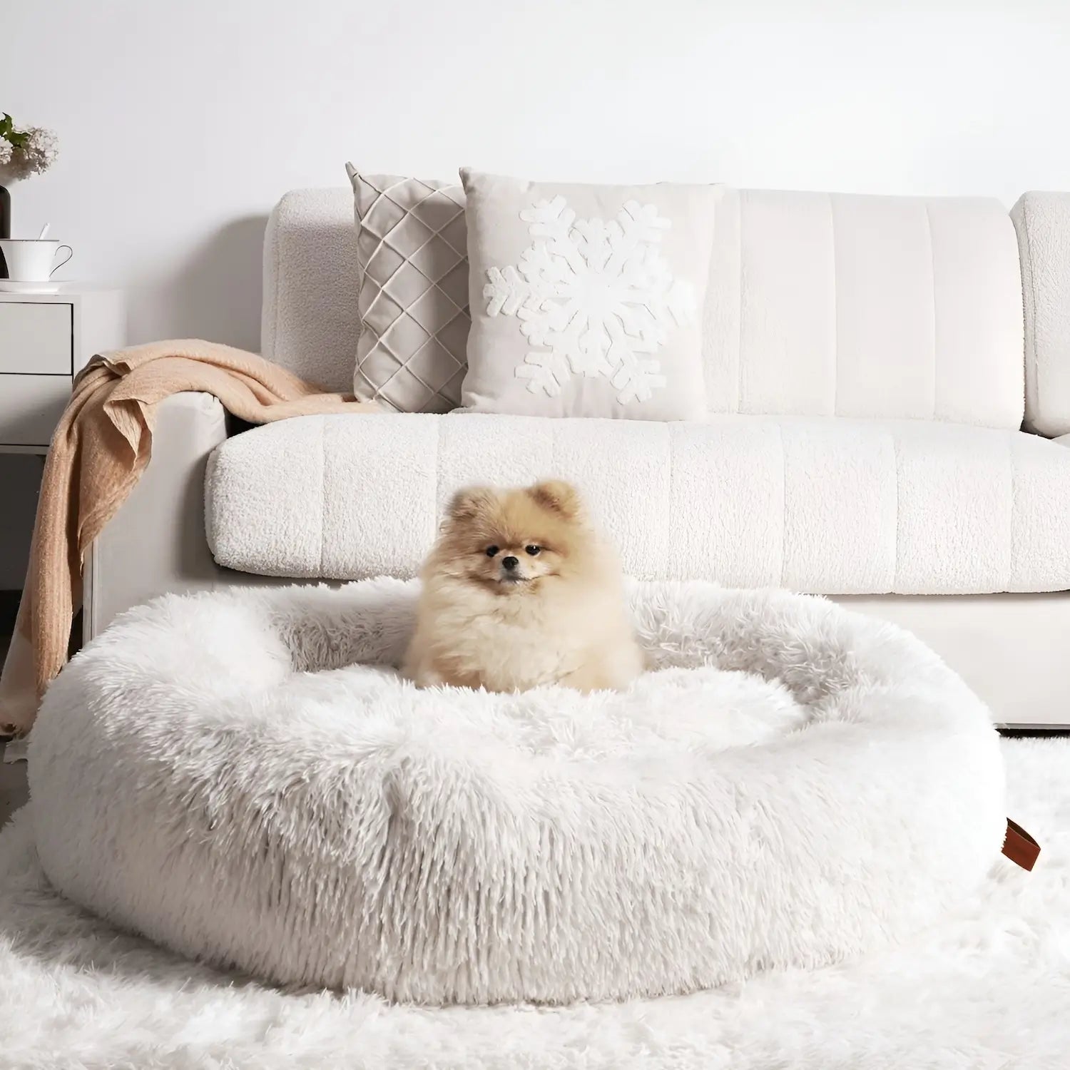 MrFluffyFriend®