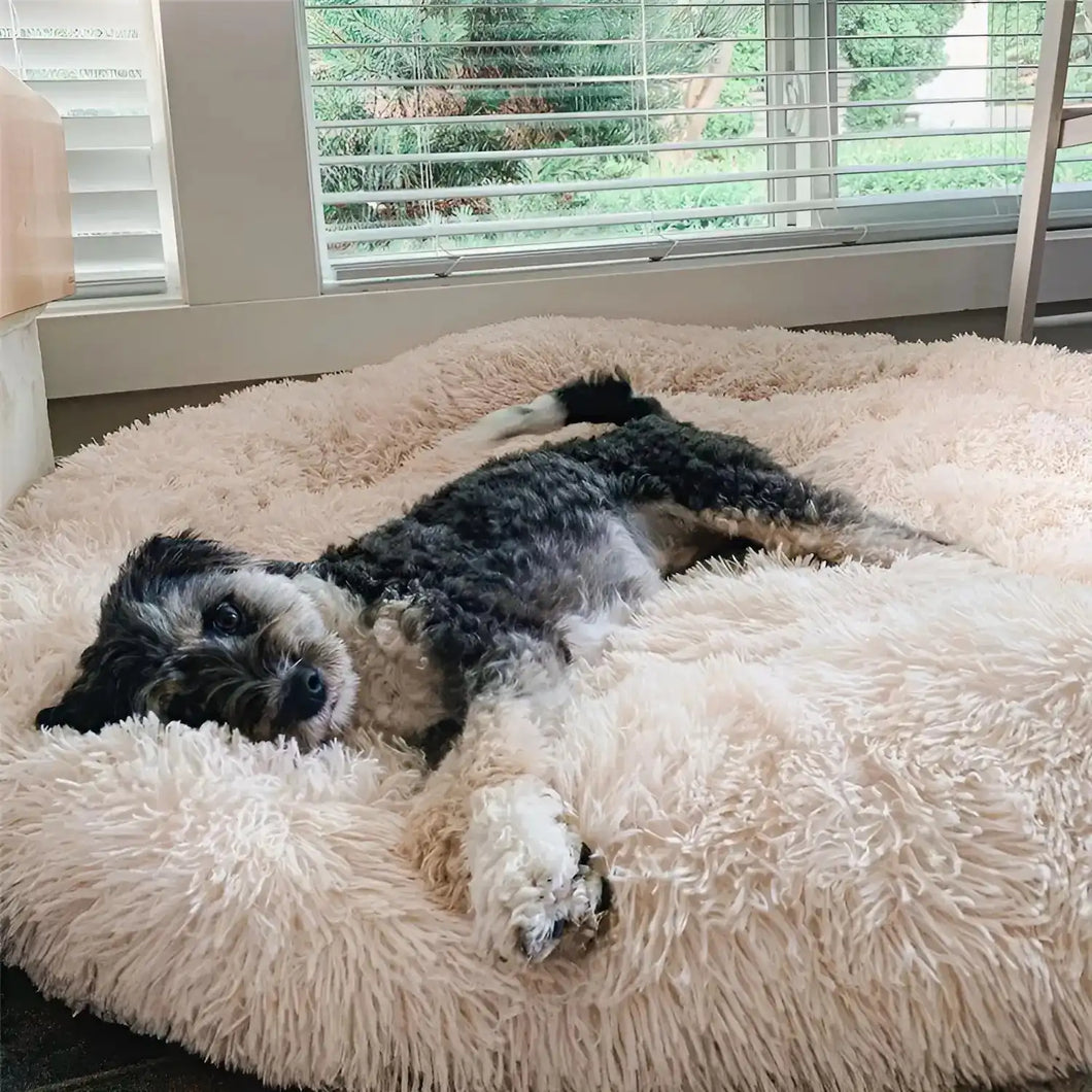 MrFluffyFriend™ - Das beste Anti-Angst Hundebett