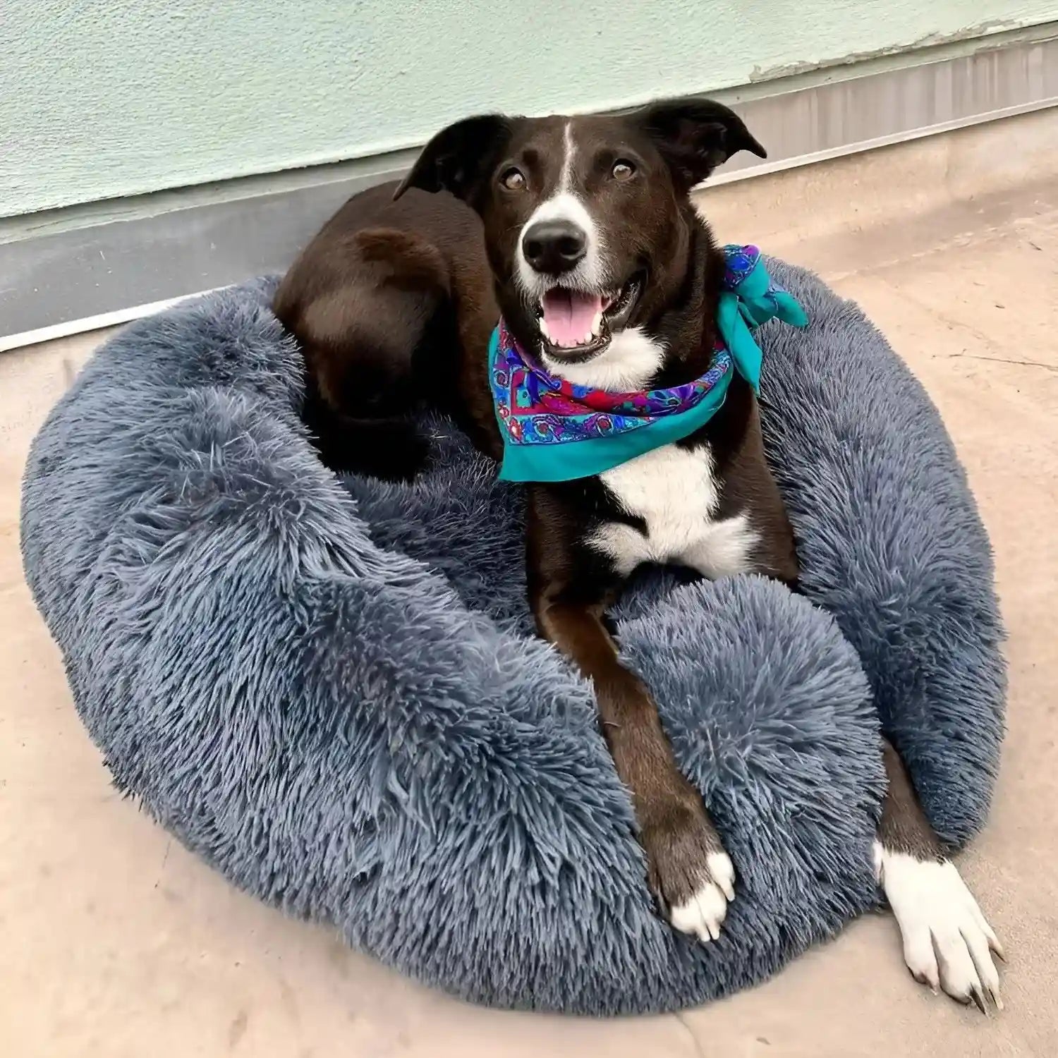 MrFluffyFriend™ - Das beste Anti-Angst Hundebett