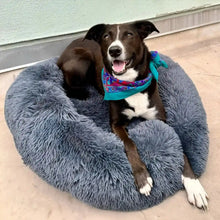 Lade das Bild in den Galerie-Viewer, MrFluffyFriend™ - Das beste Anti-Angst Hundebett
