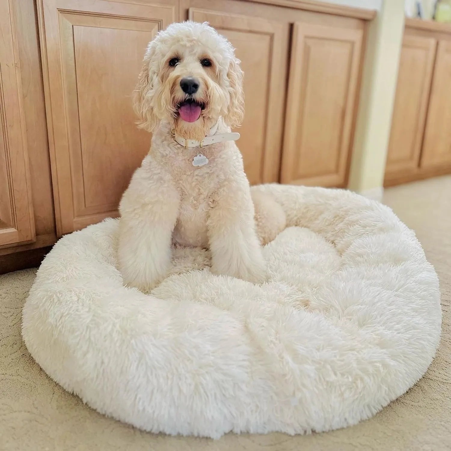 MrFluffyFriend™ - Das beste Anti-Angst Hundebett