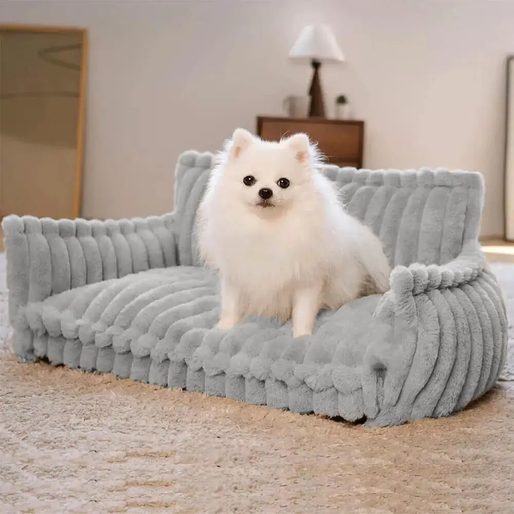 Flauschiger weißer Pomeranian sitzt gemütlich auf einem weichen, hellgrauen orthopädischen, waschbaren Hundesofa.