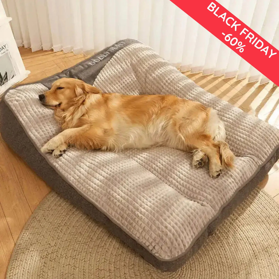 3 von 4 Hunden schlafen ohne richtige Stütze