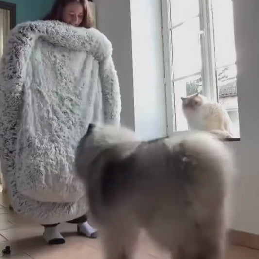 MrFluffyFriend® - Das beste Anti-Angst Hundebett (Test "animated prod image")